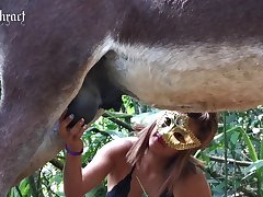 Animal Sex Tube Porn