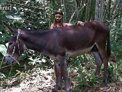 Animal Sex Tube Porn