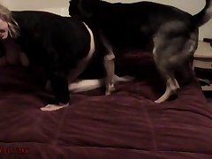 Dog Fuck Asshole