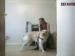 Wife Fuck Dog Hidden Cam