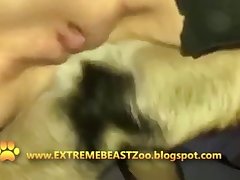 Supergirl Dog Fuck