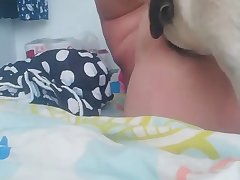 List Of Free Animal Porn Sites