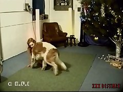 Animal Webcam Porn